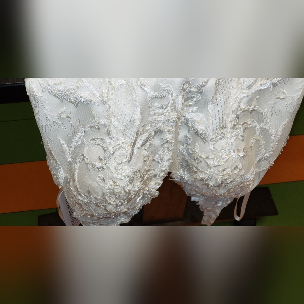 Nina Canacci Ivory Embroidered Wedding Dress - Picture 14 of 15